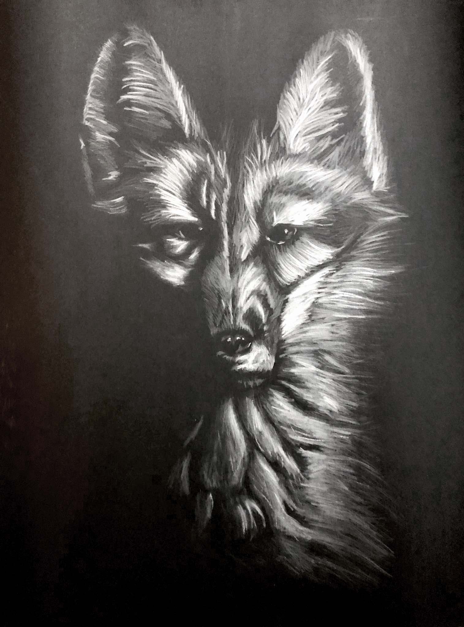 Inverse Drawing - Fox