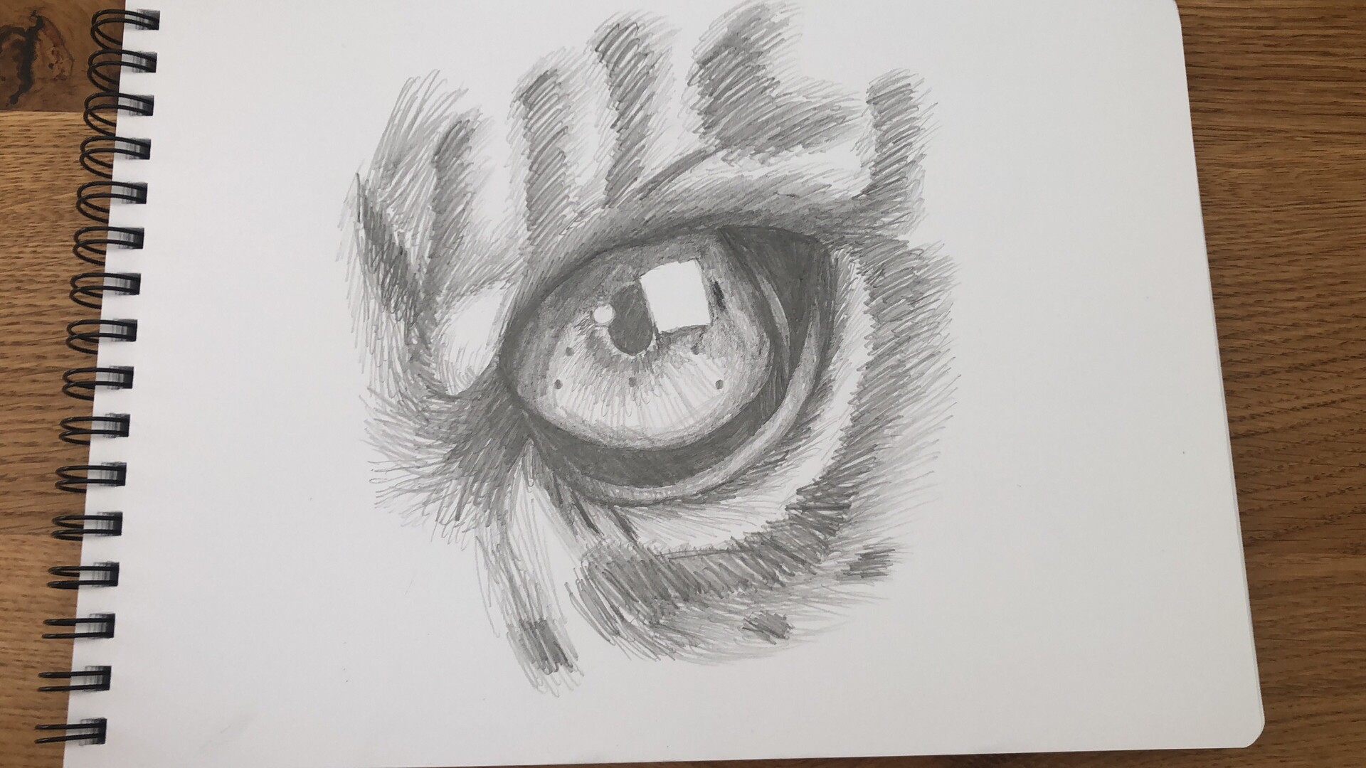 Traditional Drawing - Tiger Eye
