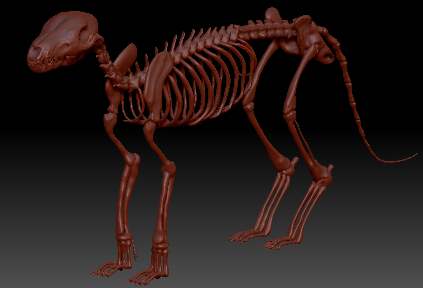 Sculpting - Fox Skeleton